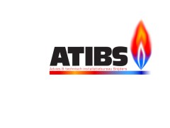 Logo ontwerp Atibs
